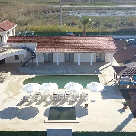 Plantation Ortaca (Mugla)